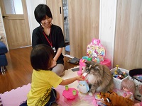 提供会員2 提供会員2