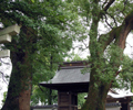 かまど神社社叢　写真　市指定天然記念物（平成１５年）