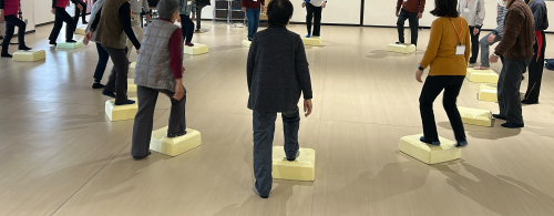 ステップ運動の様子