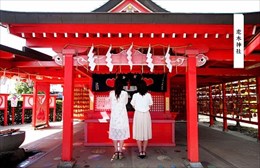 恋の木 恋の木